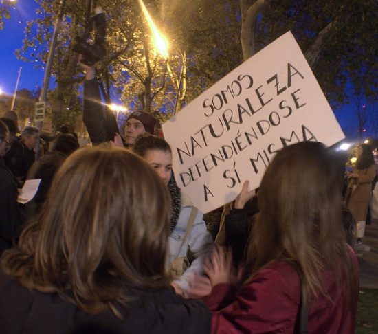 Manifestación 6/12/2019 en Madrid